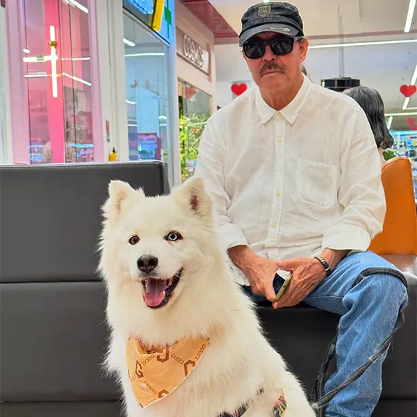 Img-pet-grooming-en-envigado-Servicios-Adiestramiento